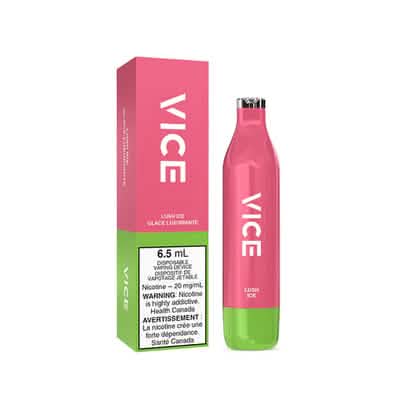 Vice Vape 2500
